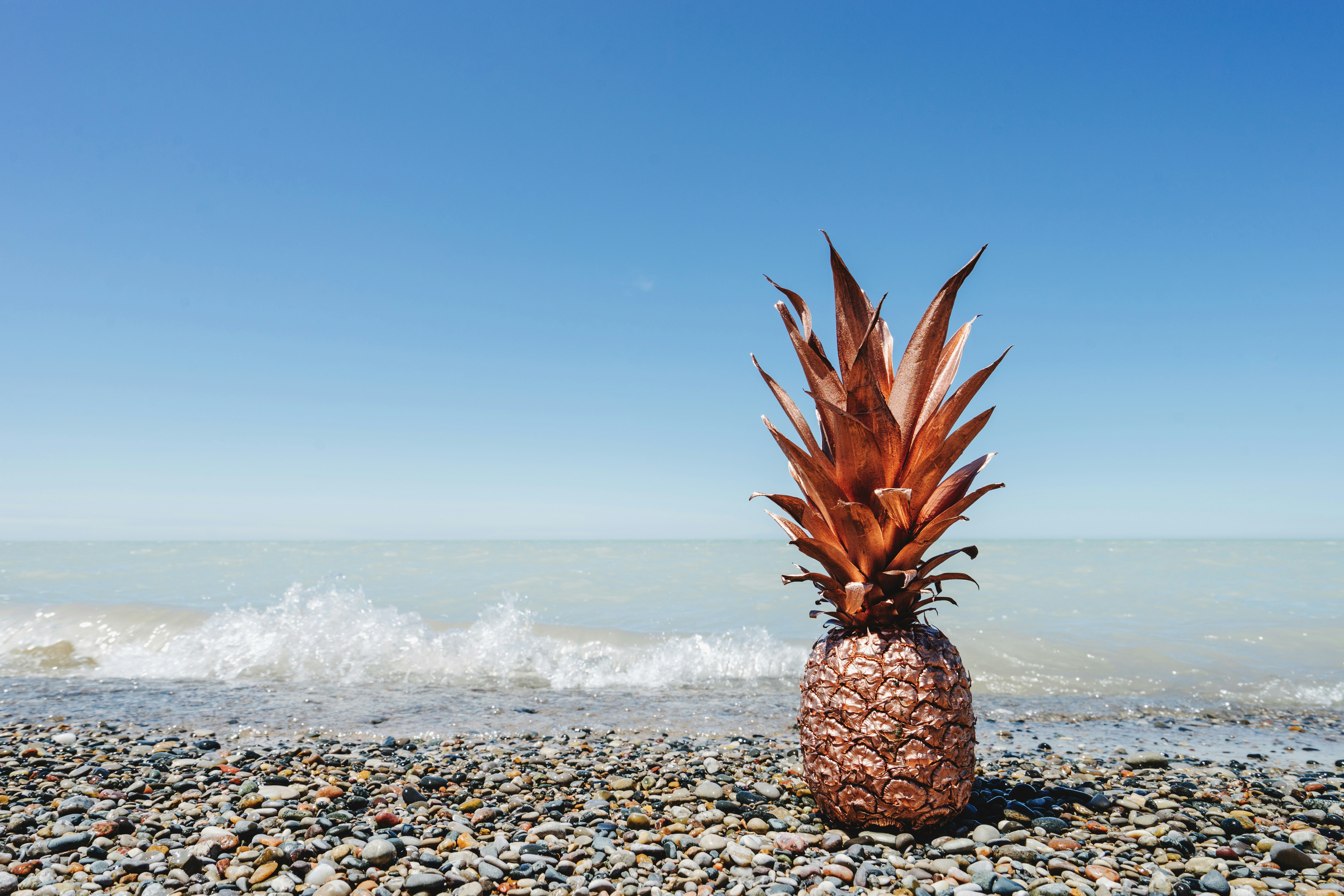 pineapple on beach shore during daytime